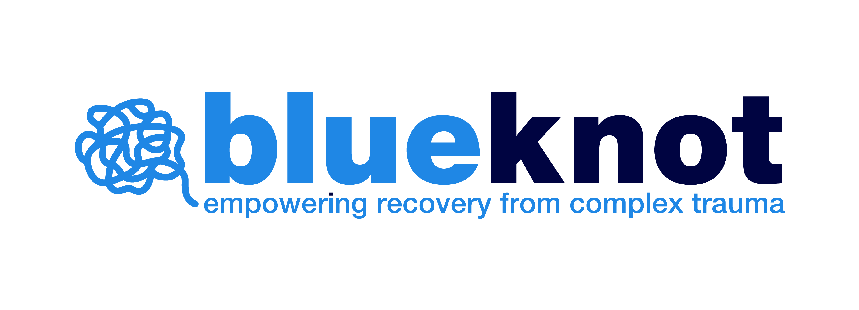 Blue Knot foundation logo